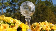 Image of The CME Globe trophy 
